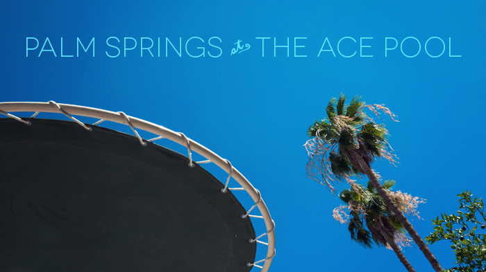 Palm Trees at Ace Hotel & Swim Club Palm Springs