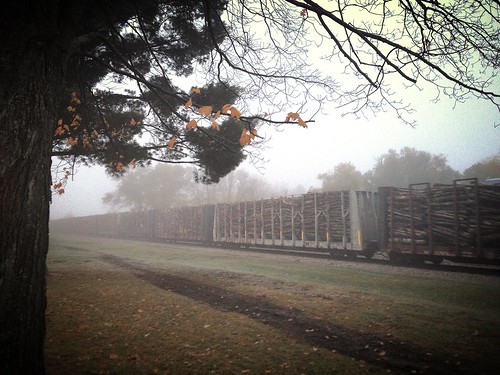 railroad fog wisconsin train sunrise timber rail lumber wausau