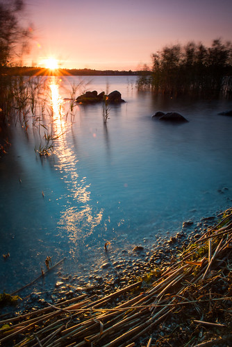sunset sun reflection water reeds vaasa skräddargrund