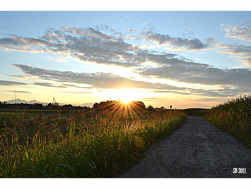 summer sunrise landscapes nikon estate alba country campagna paesaggi brianza 2011 lentatesulseveso copreno d3100