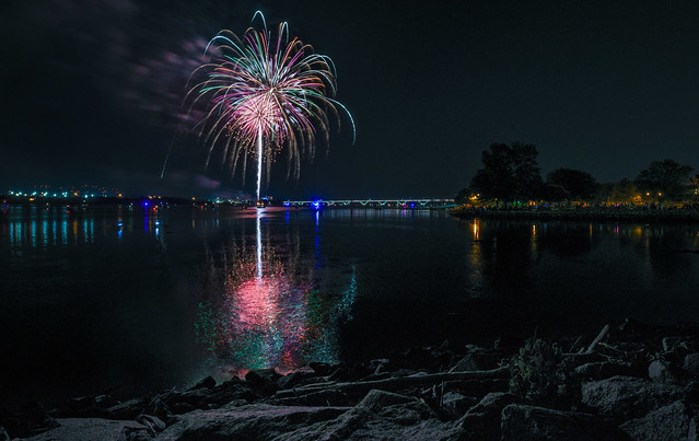 Fireworks Bloom: Thanks for 3 Million Views