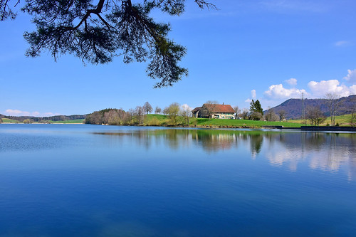 puidoux vaud suisse paysages lac brêt reflets eau