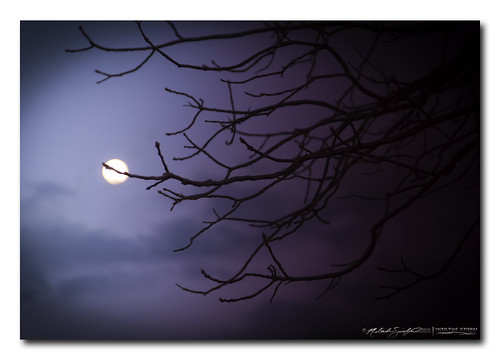blue light sky moon blur tree lines canon landscape illinois twilight dof emotion bokeh violet cracks 60d canoneos60d