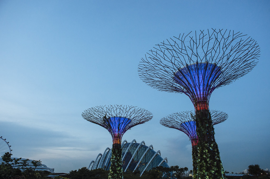 Travel Photography | Supertree Grove | Gardens By The Bay | Singapore