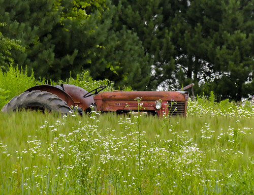 tractor field minnesota rural outdoors vehicle oldtractor oldmachine farmmachine rurallandscape farmvehicle