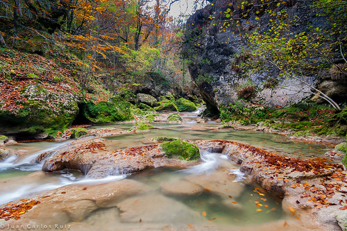 españa water rio river spain agua long exposure autum bosque otoño navarra urederra nacedero