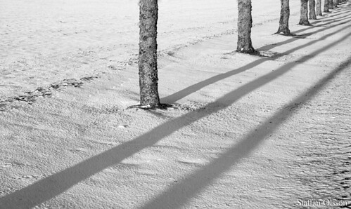 shadow snow tree nature canon landscape outdoors sweden