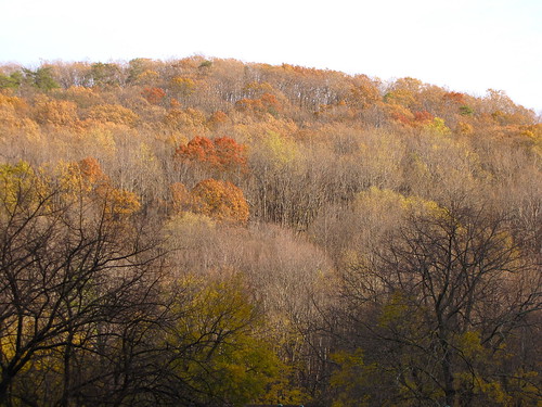autumn trees orange brown mountain mountains tree fall leaves rural virginia leaf hill central creative commons hills cc va creativecommons