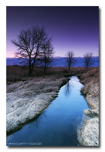 blue trees sky motion water beautiful creek canon landscape photography illinois amazing stream 60d canoneos60d