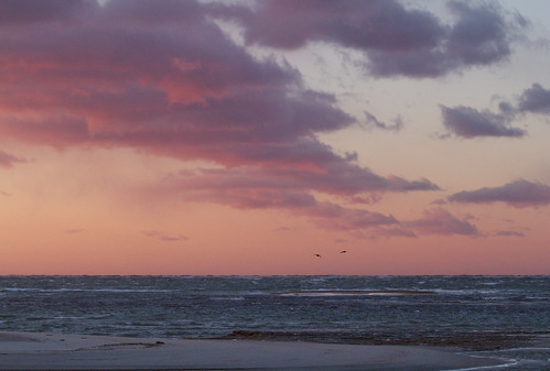 sunset water ocean beach sea sun clouds pink wather cold spring birds weather unseasonable coast coastline seacoast estuary newengland wind cloudscape sky skies windy evening