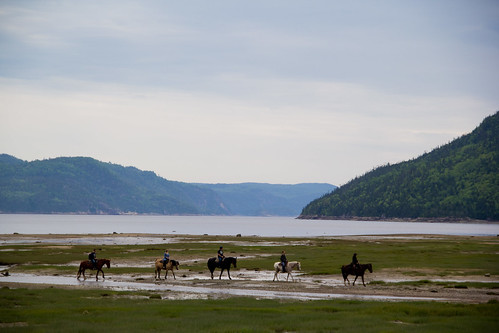 summer canada nature water animal landscape quebec fjord saguenay ansestjean saglac 2013