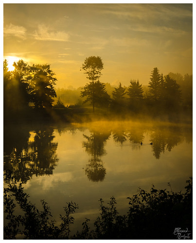 summer mist reflection water sunrise duck pond edmonton rundlepark yeg