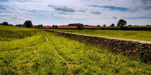 uk red england nature field countryside nikon britain cotswolds panoramic gloucestershire crop poppy poppies badminton d7000