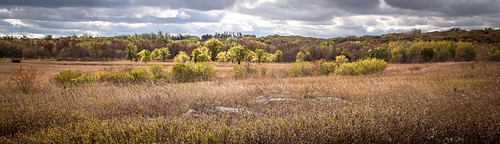 statepark park autumn trees fall mushrooms moss rocks unitedstates iowa quartzite grasslands fungis larchwood teee