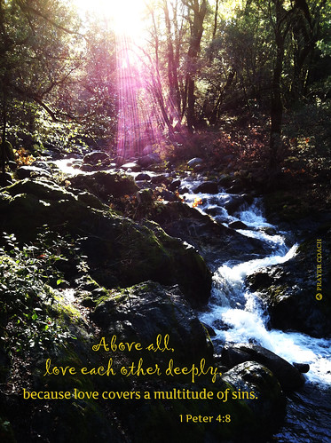 sunlight love creek stream sin covers biblequote 1peter48