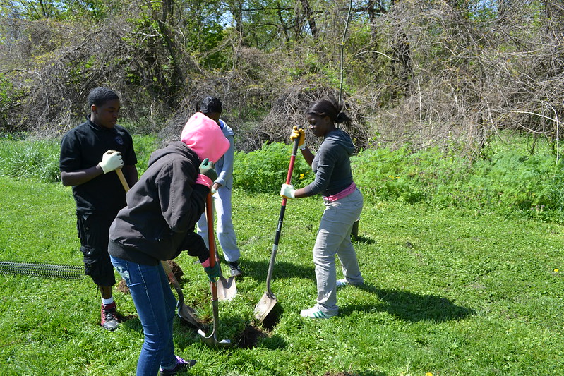youth planting a tree
