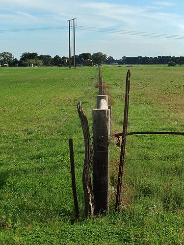 vertical rural fence wires fields variety various posts boundary