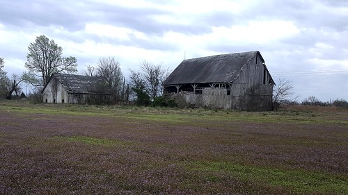 roadsidemissouri abandoned farm thistles overcast cloudy purple bolivar missouri 65613 spring rain day partlycloudy nofilter barn field fieldofpurple weeds forgotten highway13