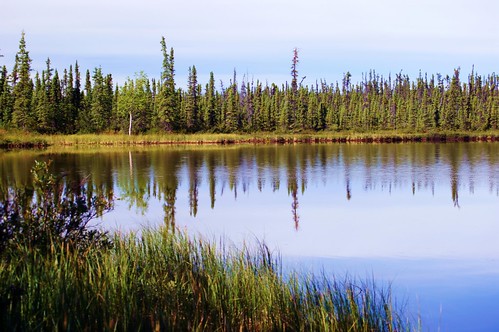 summer lake nature alaska landscape landscapes wilderness ponds lastfrontier alaskansummer alaskalandscape jlsphotographyalaska