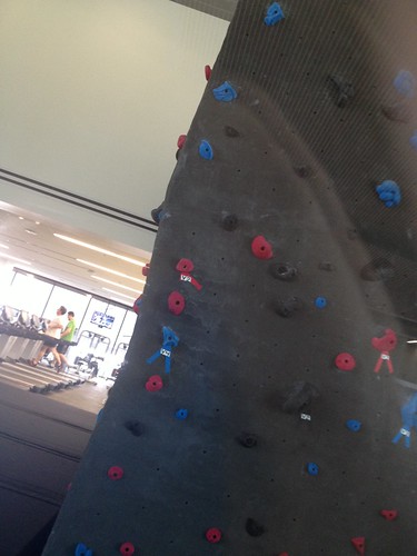 Rock Climbing Wall in the Adobe Lehi office