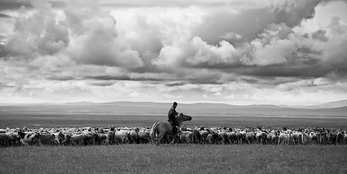 travel horse white black clouds landscape hills adventure mongolia goats steppe mongolian herder dornod bestcapturesaoi