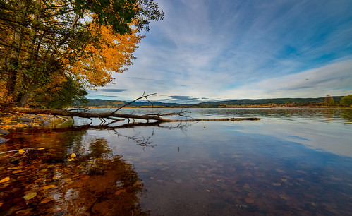 autumn trees sky lake color reflection water oslo norway clouds forest nikon day d800 14mm samyang explored maridalsvannet pwpartlycloudy