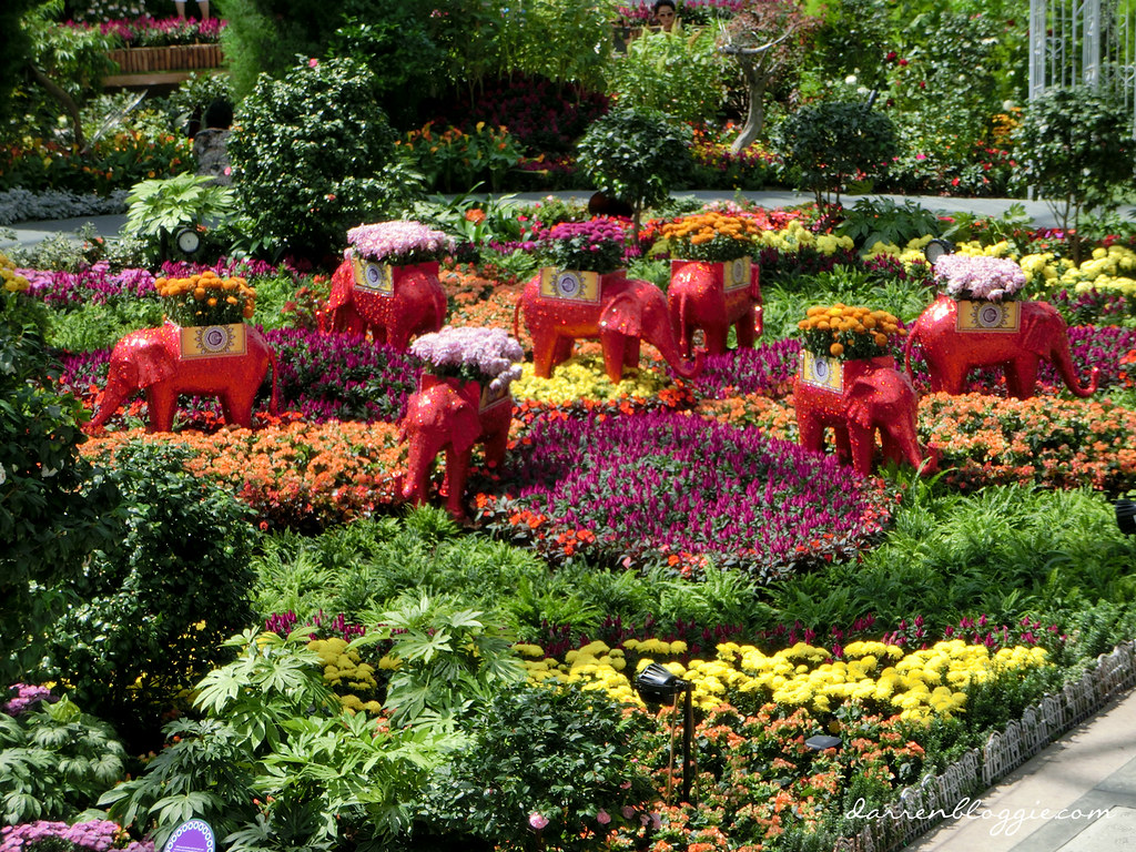 Deepavali Flower Field Display at Gardens by the bay darrenbloggie