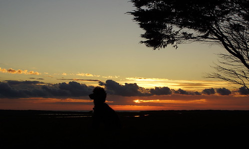 england sky silhouette sunrise golden coast sony east poppy alpha a77 saltfleet