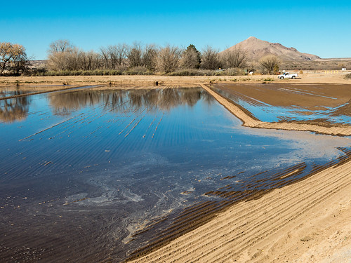 newmexico water flood crop lascruces irrigation