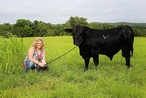 Dakota Williams with her cattle