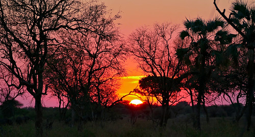 sunset maloutswa mapungubwe