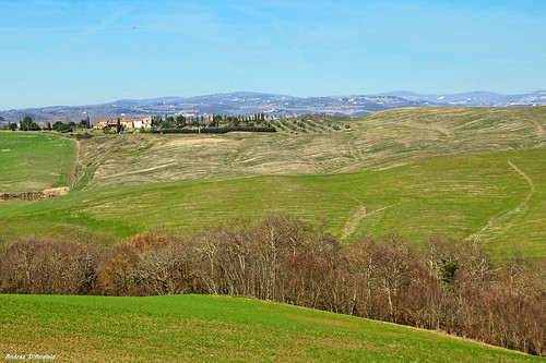 cretesenesi tuscany nature hills trees mucigliani asciano landscape country farm clay agriculture