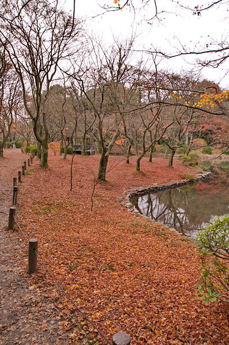 【写真】2012 紅葉 : 京都府立植物園/2019-04-01/IMGP8473