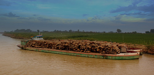 過去30年間，緬甸的本土商業和柴薪用伐木加速了森林砍伐速度。（來源：calflier001）