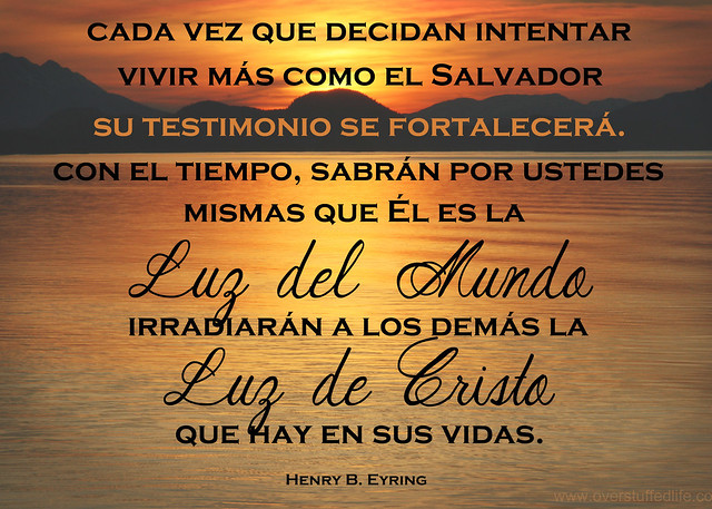 March 2014 Visiting Teaching Message - Light of the World - Spanish