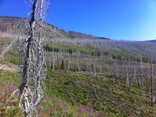 landscape montana copperlake