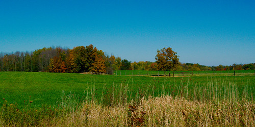 autumn trees color fall field fence raw michigan farm grasses hastings cloverdale joeldinda barrycounty 1v1