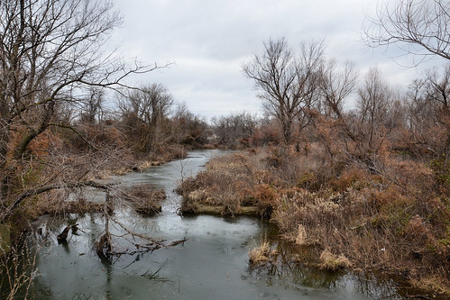 trees usa abandoned oklahoma water creek nikon brush swamp ghosttown lead zinc contamination picher d7000