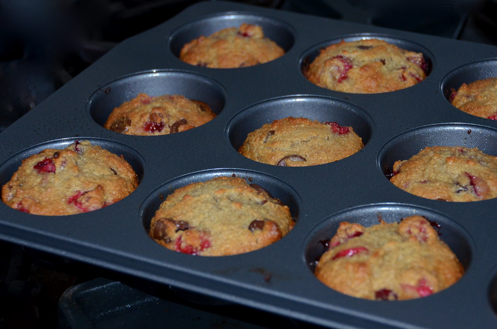 Cranberry Chocolate Chip Muffins
