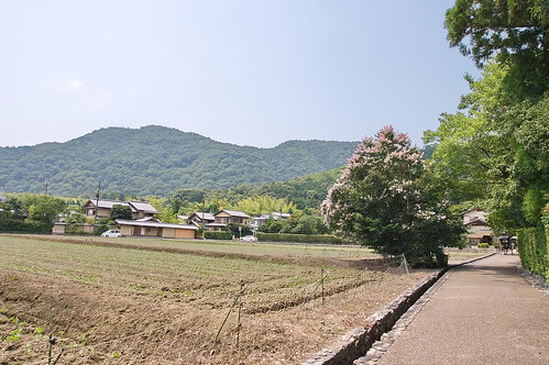 【写真】2013 : 嵐山界隈/2021-03-07/IMGP1138