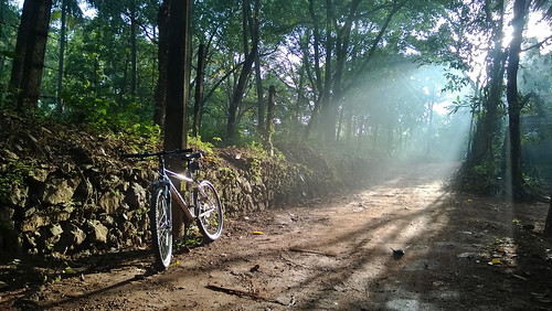 sun india bike ride august kerala solo cycle rays specialized 2013 kakkanad
