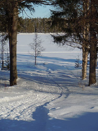 winter snow tree vinter sweden path lappland lapland snö stig träd fredrika gångväg viskasjön viskalake