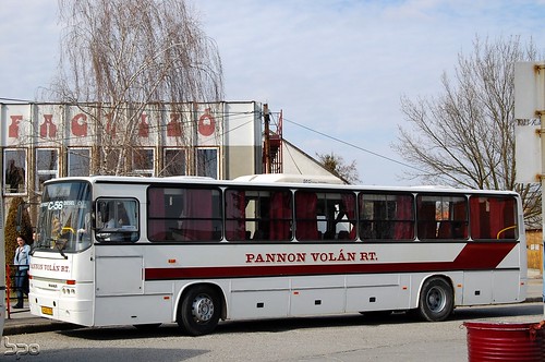 bus coach autobus busz bpo pannon volán autóbusz ddkk