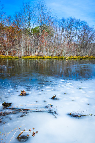 blue trees winter sky lake snow cold color reflection ice nature wet water vertical forest landscape outdoors frozen us pond woods day unitedstates nobody westvirginia vegetation northamerica marsh appalachia wetland pointpleasant mcclintock tntarea