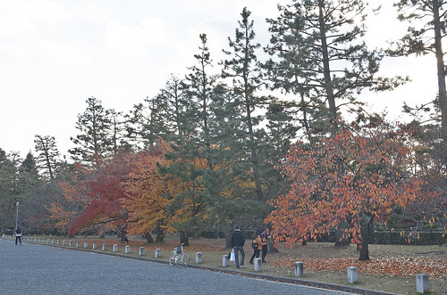 【写真】2013 紅葉 : 京都御苑/2019-12-20/IMGP4228