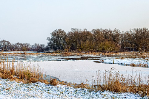 schnee winter deutschland fluss eis landschaft brandenburg januar havel 2014 strodehne havelaue