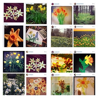 #daffodilboy collage