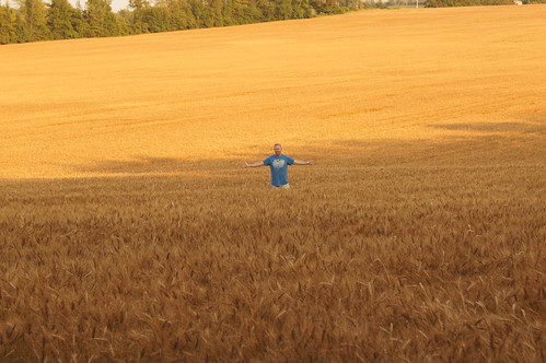 ontario canada nature path farm wheat grow hide atv popcorncinema pccofficial nolankjarsgaard