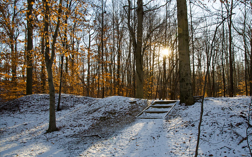 snow woods hercules fortbelvoir beaverpondtrail