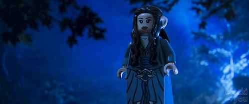 LEGO LORD OF THE RINGS